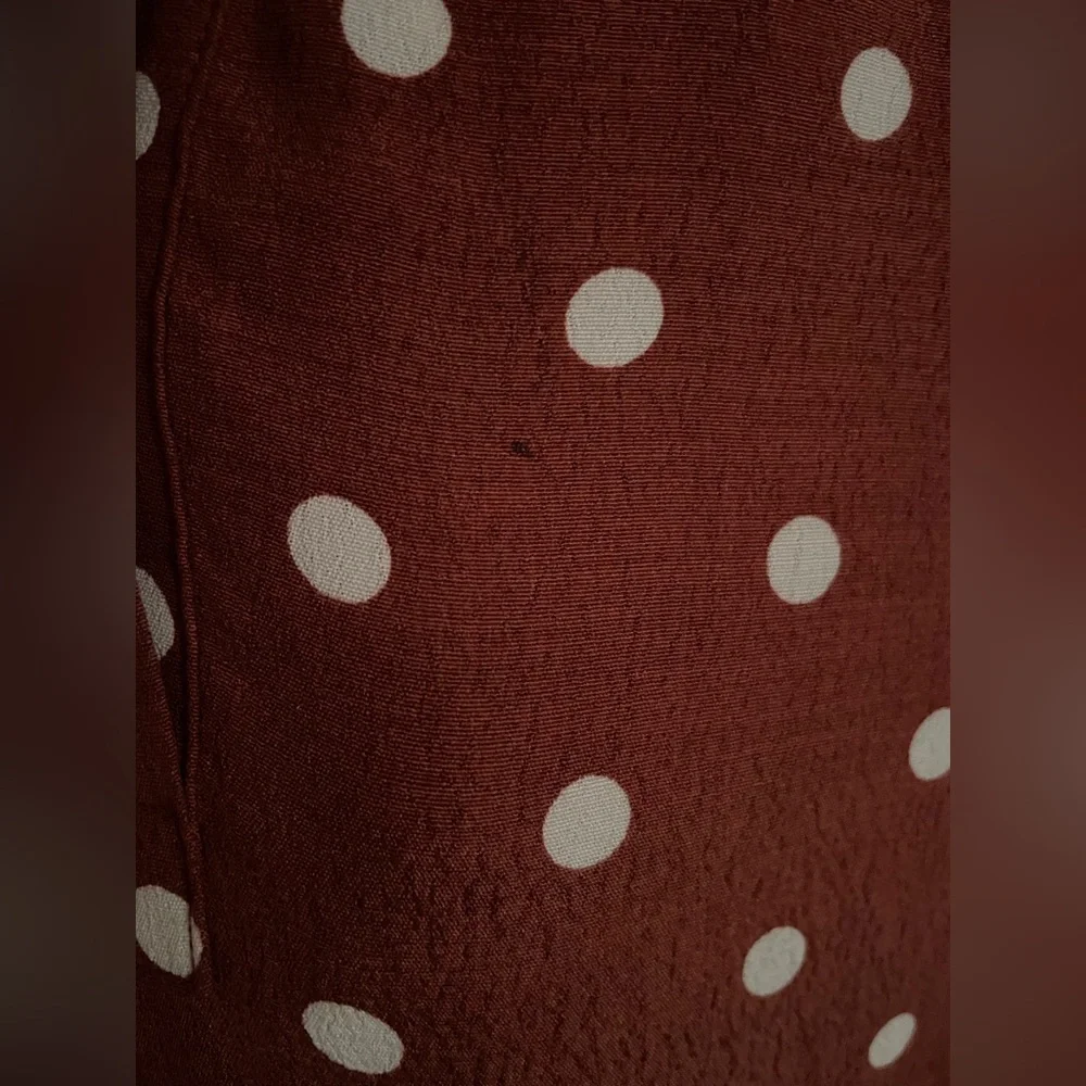 NWOT: Uterqüe Brown Midi-Dress with Polkadots - Picture 11 of 12